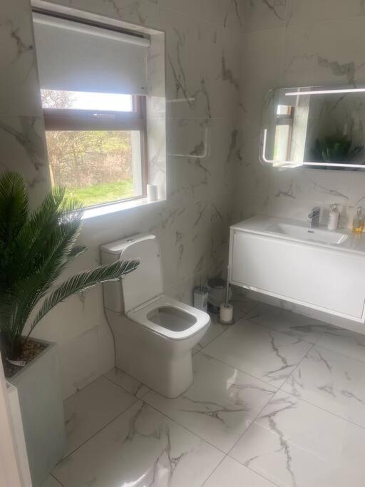Modern Apartment At Croagh Patrick Westport Buitenkant foto